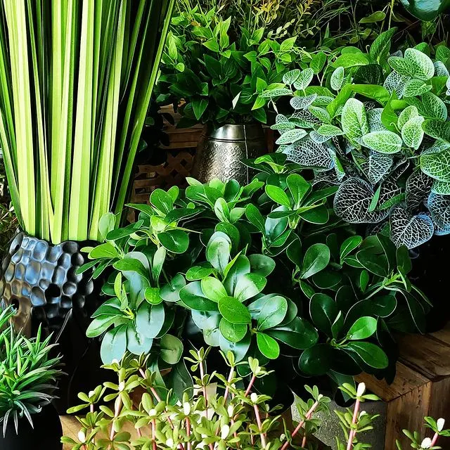 Composição de plantas e folhagens verdes