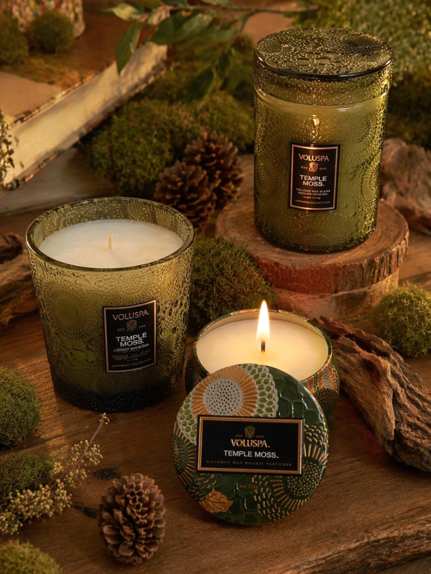 Velas perfumadas Voluspa Temple Moss com pinhas e musgo